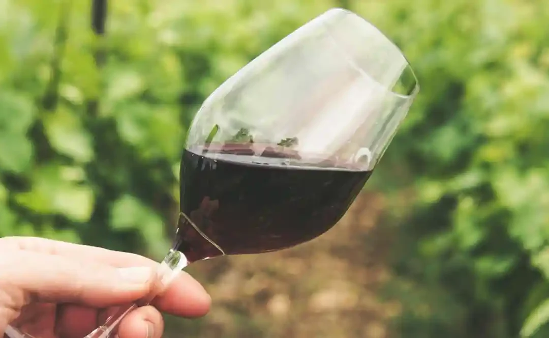 WineRi international eno-gastro festival in Rijeka