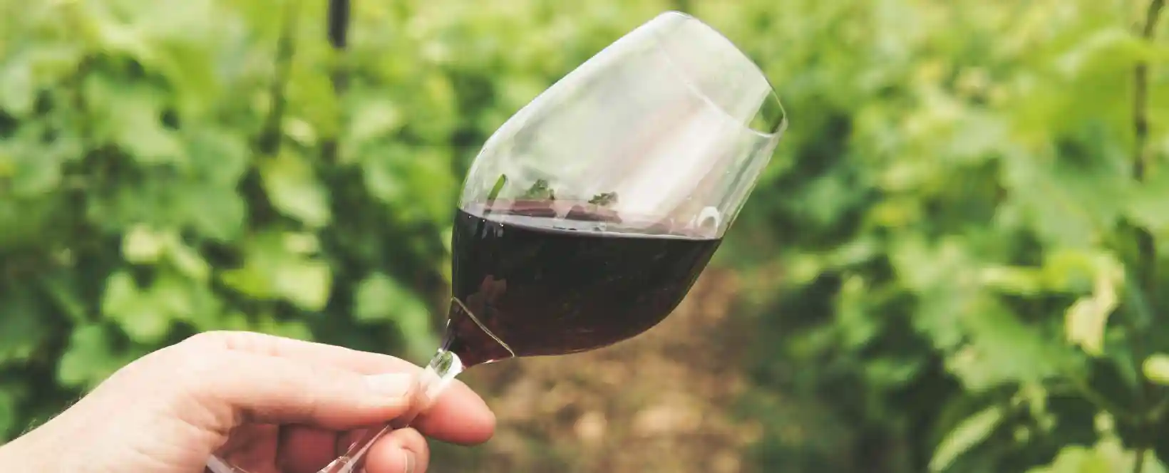 WineRi međunarodni eno-gastro festival u Rijeci